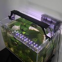 53-73cm akvarie armatur - 14W LED, hvit/blå, justerbar