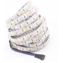 12W/m RGB+WW LED strip - 5m, IP65, 60 LED per meter, 12V