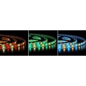 12W/m RGB+WW LED strip - 5m, IP65, 60 LED per meter, 12V