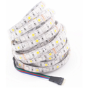 12W/m RGB+WW LED strip - 5 meter, IP65, 60 LED per meter, 24V