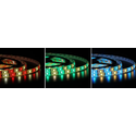 12W/m RGB+WW LED strip - 5 meter, IP65, 60 LED per meter, 24V