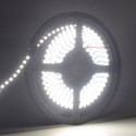 LEDlife 11W/m sidelys LED strip - 5m, IP20, 24V, 120 LED per meter