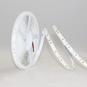 LEDlife 12W/m LED strip RA97 - 5m, 24V, IP20, 120 LED per meter