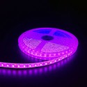 Pink 10W/m LED stripe - 5m, 120 LED pr meter, 24V, IP65