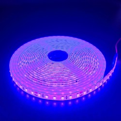 Enkeltfarget LED strip 24V Lilla 10W/m LED stripe - 5m, 120 LED pr meter, 24V, IP65