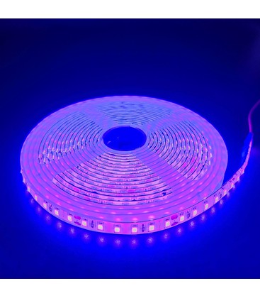 Lilla 10W/m LED stripe - 5m, 120 LED pr meter, 24V, IP65 Lilla 10W/m LED stripe - 5m, 120 LED pr meter, 24V, IP65