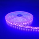 Lilla 10W/m LED stripe - 5m, 120 LED pr meter, 24V, IP65