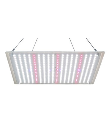 LEDlife Helios vekstlampe 70W, IP65 - Inkl. oppheng, fullt lysspektrum, uten vifte, dimbar lysstyrke