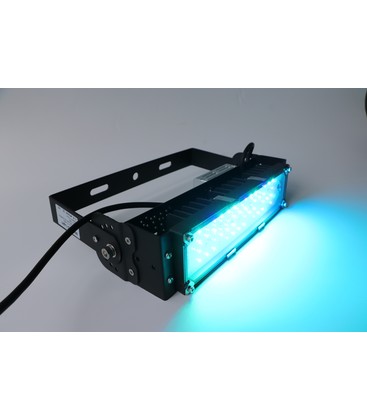 LEDlife Avlslampe 50W LED - For avl av BSF / soldatfluer, IP65, 3 års garanti