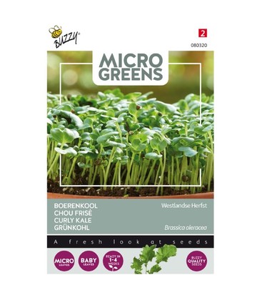 Microgreens, Grønnkål - Westland, høst