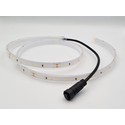 LEDlife Badstu LED strip - 1M, 8W per meter, IP68, 24V