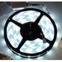 12W/m RGB+CW LED strip - 5 meter, IP65, 60 LED per meter, 24V