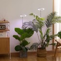 LEDlife vekstlys med spyd - 12W, timer, justerbar høyde, dimbar