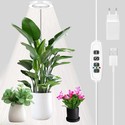 LEDlife vekstlys med spyd - 12W, timer, justerbar høyde, dimbar
