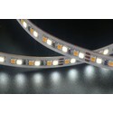 LEDlife 9,5W/m CCT LED strip RA94 - 10m, 24V, IP20, 240 LED per meter