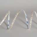 LEDlife 9,5W/m CCT LED strip RA94 - 10m, 24V, IP20, 240 LED per meter