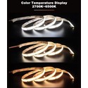 10W/m CCT COB-LED strip - 5m, IP20, 512 LED per meter, 24V, RA97