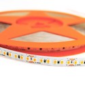 10m 12W/m Philips LED strip RA92 - IP20, RA92, 24V, 120 LED per meter