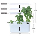 LEDlife hydroponisk kjøkkenhage - Hvit, inkl. vekstlys, 8 plasser, timer, pumpe og 2,8L vanntank