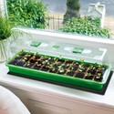 Varmematte til vinduskarm - 8W, til forspiring av frø eller microgreens, 10 x 52,5 cm, 1,8 meter ledning