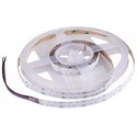 24W/m RGB+WW COB-LED strip - 5m, IP20, 24V, COB LED