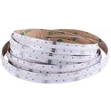 24W/m RGB+WW COB-LED strip - 5m, IP20, 24V, COB LED