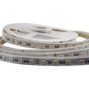 5m RGB+CCT 24W/m LED stripe - RGB+2700-6500K, IP65, 24V
