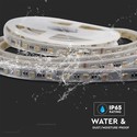 5m RGB+CCT 24W/m LED stripe - RGB+2700-6500K, IP65, 24V