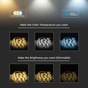5m RGB+CCT 24W/m LED stripe - RGB+2700-6500K, IP65, 24V