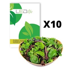 Vekstlys 10 ps. Plukksalat frø - Baby Leaf blanding