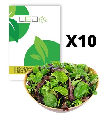 10 ps. Plukksalat frø - Baby Leaf blanding