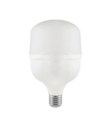 T100 LED Pære 30W E27 - Plast, 6500K