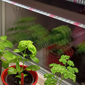 LEDlife Pro-Grow 2.0 vekstarmatur - 30 cm, 4W LED, fullt lysspektrum, IP65