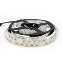 12W/m RGB+WW LED strip - 5 meter, IP65, 60 LED per meter, 24V
