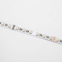 12W/m RGB+WW LED strip - 5 meter, IP20, 60 LED per meter, 24V