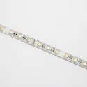 12W/m RGB+WW LED strip - 5 meter, IP65, 60 LED per meter, 24V