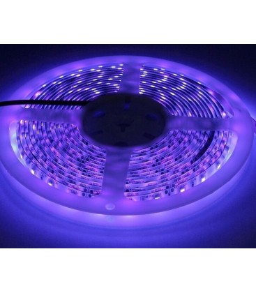 UV 400 nm 10W/m 24V LED stripe - 5m, IP20, 120 LED per meter