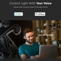 36W Taklampe - Kompatibel med Amazon Alexa, Google Home, RGB+WW+CW, Stjernedeksel