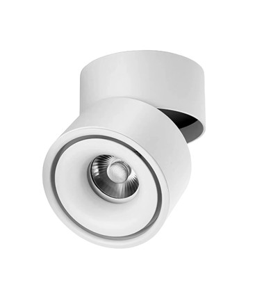 Dimbar LED takspot RA98 - 10W, hvit, justerbar, for påbygging