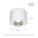 CHLOE AR111 taklampe - Rund hvit, justerbar, GU10 AR111