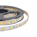 Outlet: V-Tac 14W/m CCT LED strip - 5m, IP20, 120 LED per meter, 24V