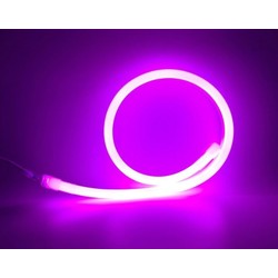 230V Neon Flex LED strip Lilla og rosa D16 Neon Flex LED - 8W per meter, IP67, 230V