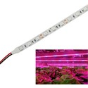 9,6W/m vanntett vekst LED strip - 5m, 60 LED per meter, IP65